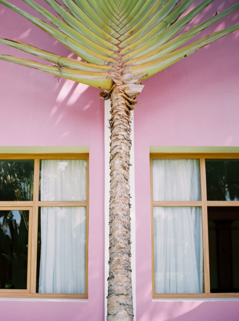 Solo Travel After 40 experience. pink house with palm tree